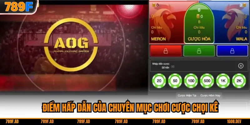 Điểm hấp dẫn của chuyên mục chơi cược chọi kê