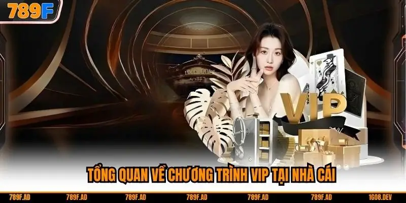 Tổng quan về chương trình VIP tại nhà cái